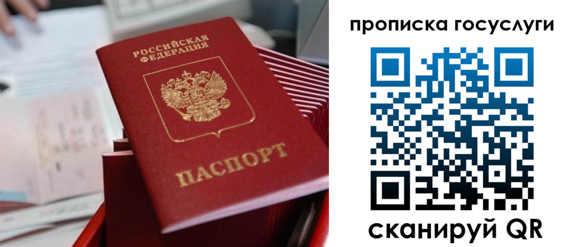 прописка законно в Керчи